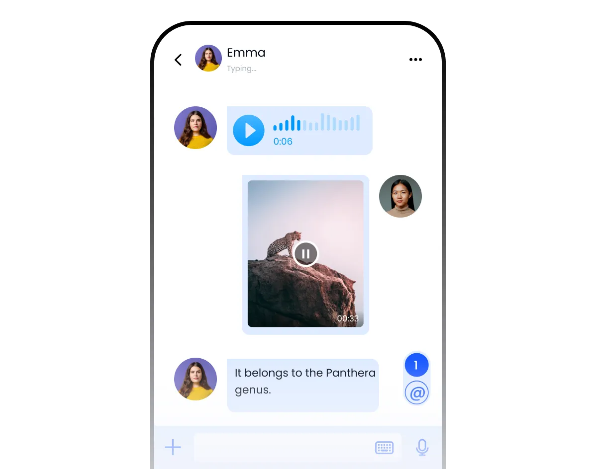 Quick chat integration