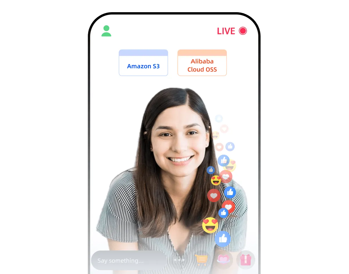 Compatibility with Multiple Storage Platforms